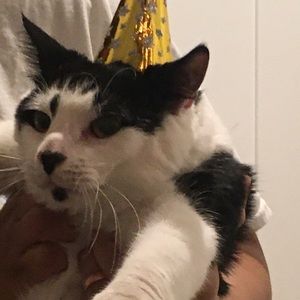 Meet your Posher, John